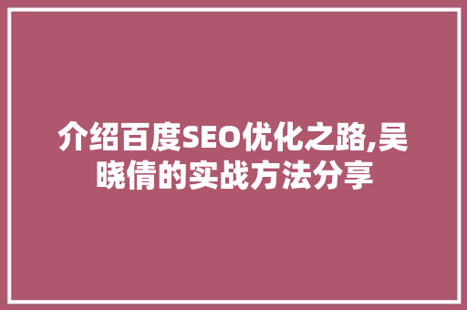 介绍百度SEO优化之路,吴晓倩的实战方法分享
