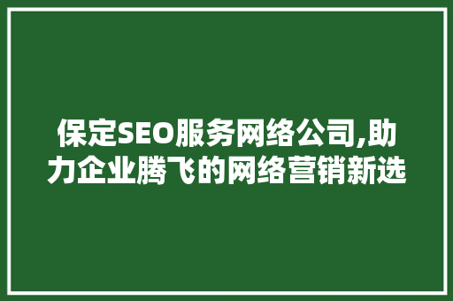 保定SEO服务网络公司,助力企业腾飞的网络营销新选择