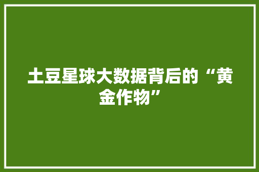 土豆星球大数据背后的“黄金作物”  第1张