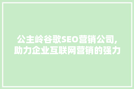 公主岭谷歌SEO营销公司,助力企业互联网营销的强力助手