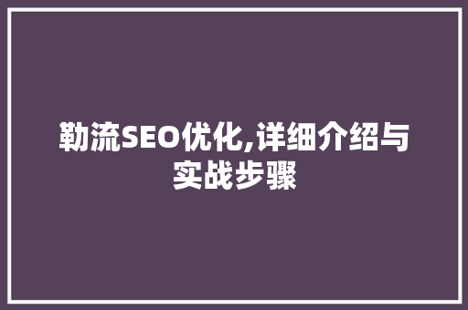勒流SEO优化,详细介绍与实战步骤
