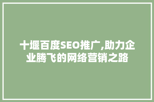 十堰百度SEO推广,助力企业腾飞的网络营销之路