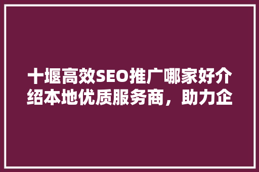 十堰高效SEO推广哪家好介绍本地优质服务商，助力企业网络营销腾飞！