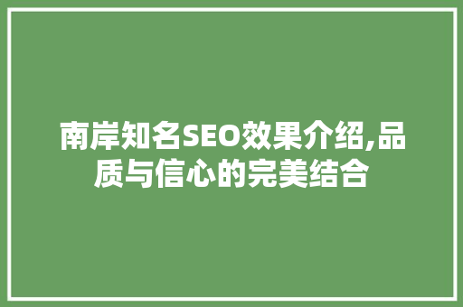 南岸知名SEO效果介绍,品质与信心的完美结合