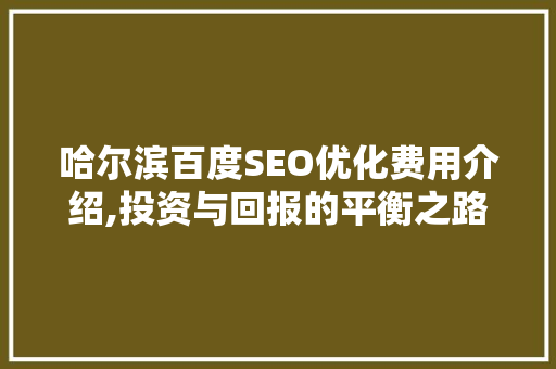 哈尔滨百度SEO优化费用介绍,投资与回报的平衡之路