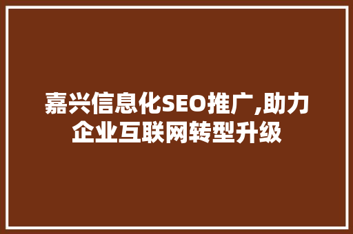 嘉兴信息化SEO推广,助力企业互联网转型升级