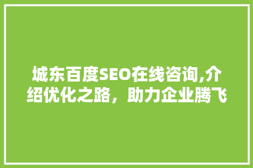 城东百度SEO在线咨询,介绍优化之路，助力企业腾飞