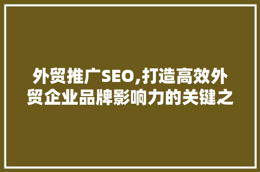 外贸推广SEO,打造高效外贸企业品牌影响力的关键之路
