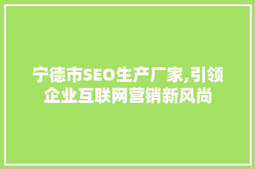 宁德市SEO生产厂家,引领企业互联网营销新风尚
