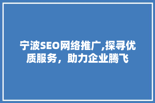 宁波SEO网络推广,探寻优质服务，助力企业腾飞
