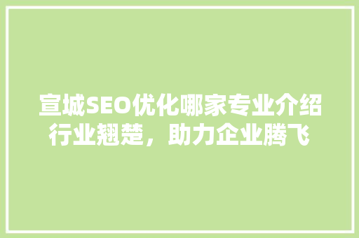 宣城SEO优化哪家专业介绍行业翘楚，助力企业腾飞