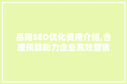 岳阳SEO优化费用介绍,合理预算助力企业高效营销