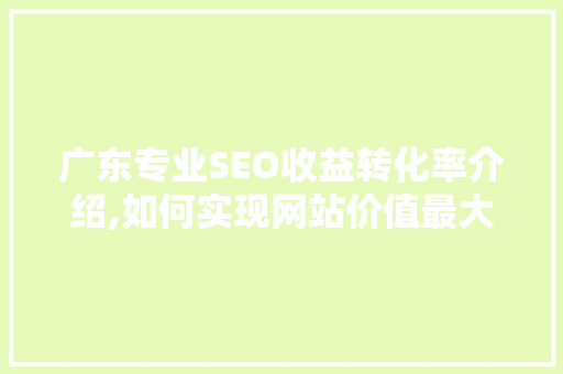 广东专业SEO收益转化率介绍,如何实现网站价值最大化