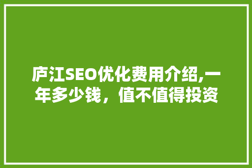 庐江SEO优化费用介绍,一年多少钱，值不值得投资