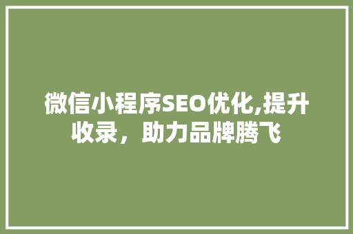 微信小程序SEO优化,提升收录，助力品牌腾飞