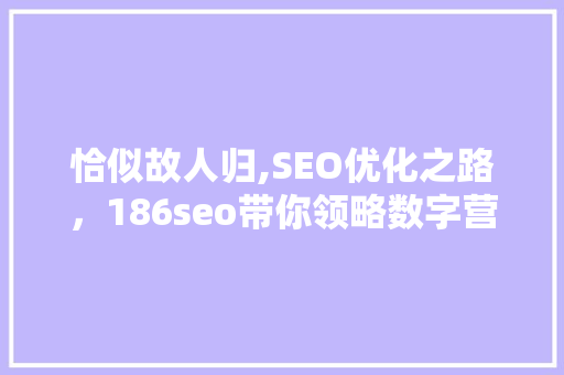 恰似故人归,SEO优化之路，186seo带你领略数字营销的奇妙之旅