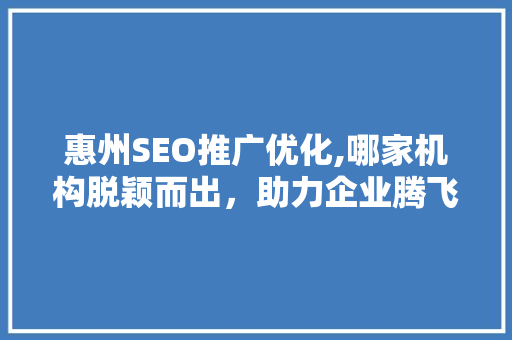 惠州SEO推广优化,哪家机构脱颖而出，助力企业腾飞  第1张