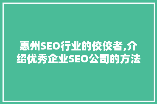 惠州SEO行业的佼佼者,介绍优秀企业SEO公司的方法