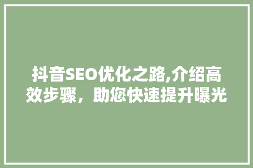 抖音SEO优化之路,介绍高效步骤，助您快速提升曝光率