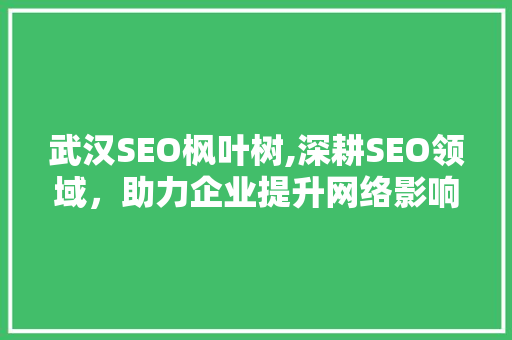武汉SEO枫叶树,深耕SEO领域，助力企业提升网络影响力