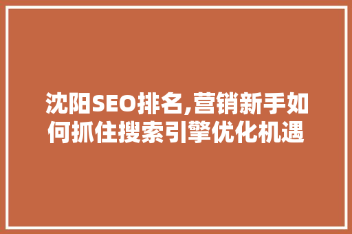 沈阳SEO排名,营销新手如何抓住搜索引擎优化机遇