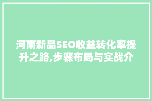 河南新品SEO收益转化率提升之路,步骤布局与实战介绍