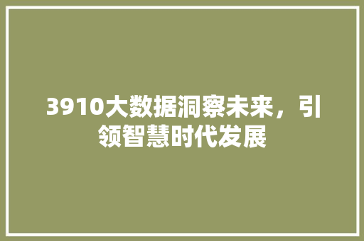 3910大数据洞察未来，引领智慧时代发展