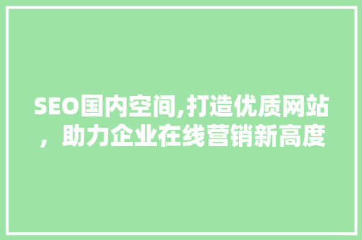 SEO国内空间,打造优质网站，助力企业在线营销新高度