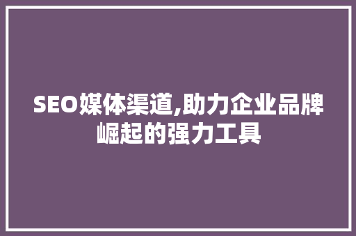 SEO媒体渠道,助力企业品牌崛起的强力工具