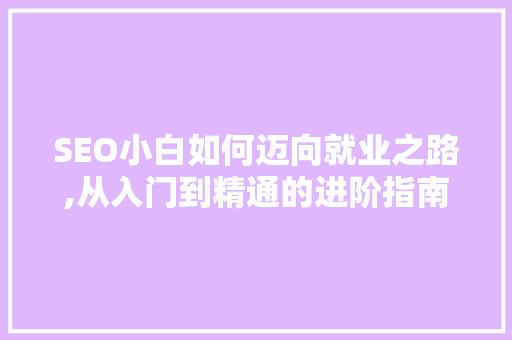SEO小白如何迈向就业之路,从入门到精通的进阶指南