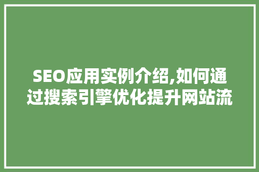 SEO应用实例介绍,如何通过搜索引擎优化提升网站流量