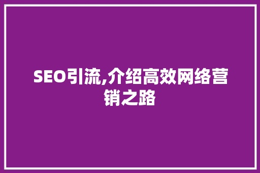 SEO引流,介绍高效网络营销之路