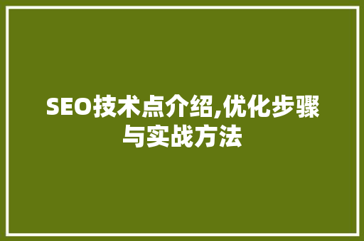 SEO技术点介绍,优化步骤与实战方法