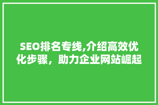 SEO排名专线,介绍高效优化步骤，助力企业网站崛起  第1张