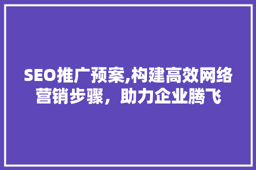 SEO推广预案,构建高效网络营销步骤，助力企业腾飞