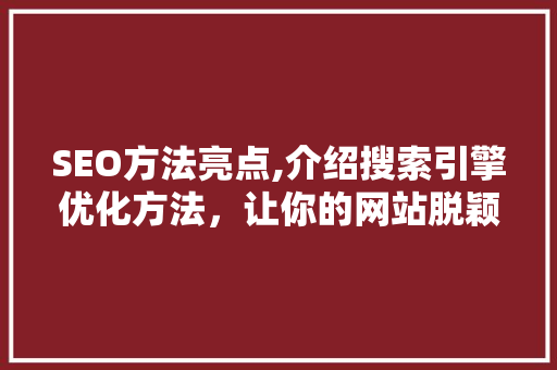 SEO方法亮点,介绍搜索引擎优化方法，让你的网站脱颖而出