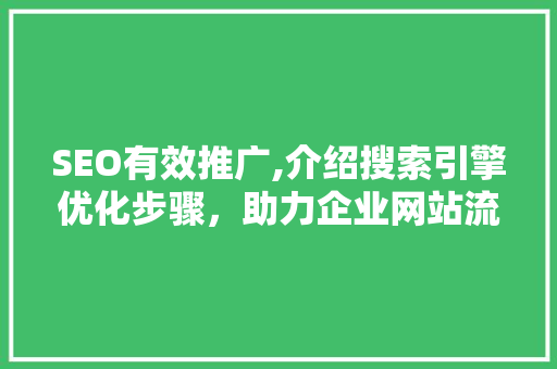 SEO有效推广,介绍搜索引擎优化步骤，助力企业网站流量翻倍