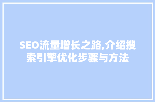 SEO流量增长之路,介绍搜索引擎优化步骤与方法