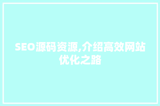 SEO源码资源,介绍高效网站优化之路