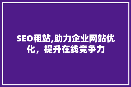 SEO租站,助力企业网站优化，提升在线竞争力