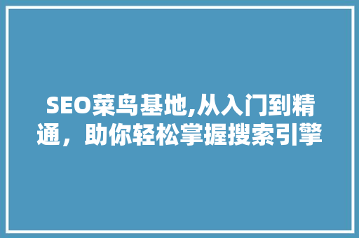 SEO菜鸟基地,从入门到精通，助你轻松掌握搜索引擎优化方法