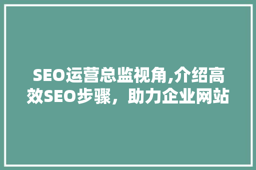 SEO运营总监视角,介绍高效SEO步骤，助力企业网站优化