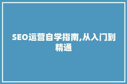 SEO运营自学指南,从入门到精通