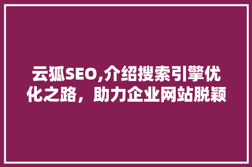 云狐SEO,介绍搜索引擎优化之路，助力企业网站脱颖而出