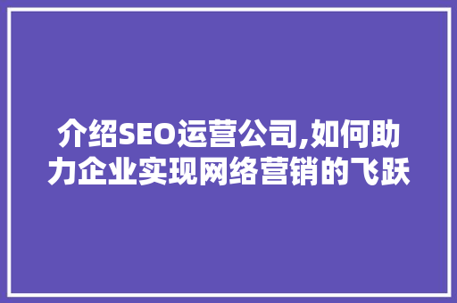 介绍SEO运营公司,如何助力企业实现网络营销的飞跃
