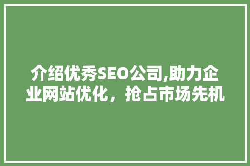 介绍优秀SEO公司,助力企业网站优化，抢占市场先机