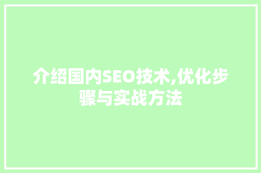 介绍国内SEO技术,优化步骤与实战方法