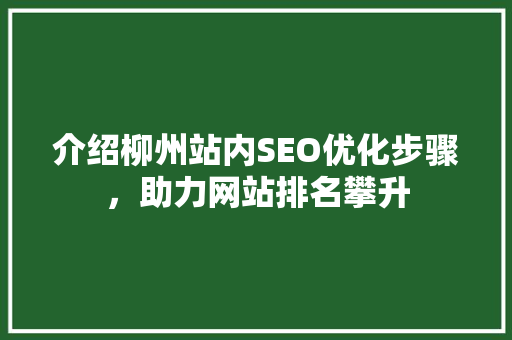 介绍柳州站内SEO优化步骤，助力网站排名攀升