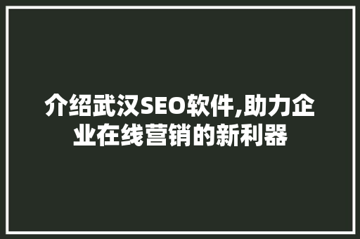 介绍武汉SEO软件,助力企业在线营销的新利器