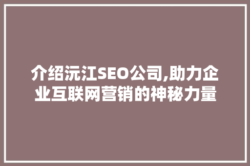 介绍沅江SEO公司,助力企业互联网营销的神秘力量
